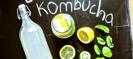 kombucha-levet