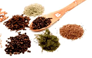 emésztés