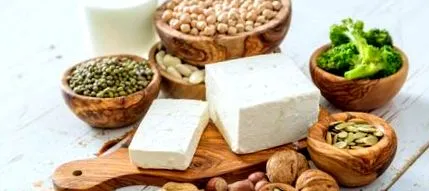 vegetariană