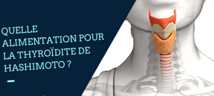 étrend