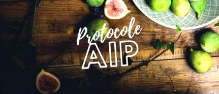 протокол