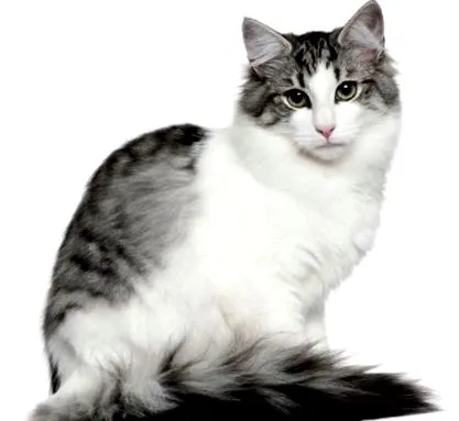 după