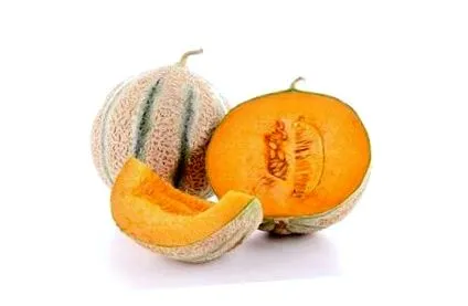 dieta