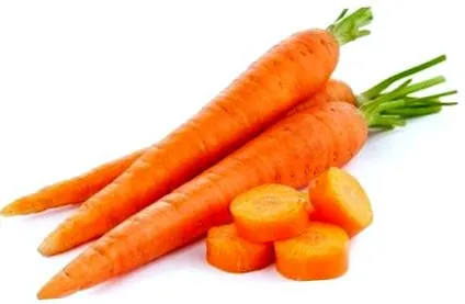 dieta