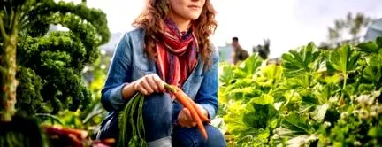 agricolă agricolă