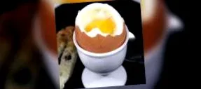 Mayo diéta