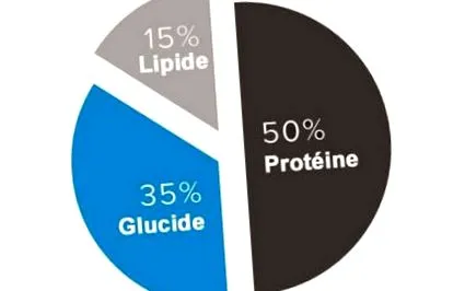 pierde