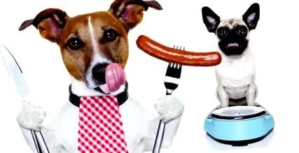 boldog