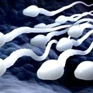 teratospermia cauze