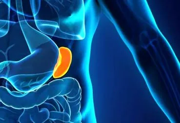 splenomegaliei