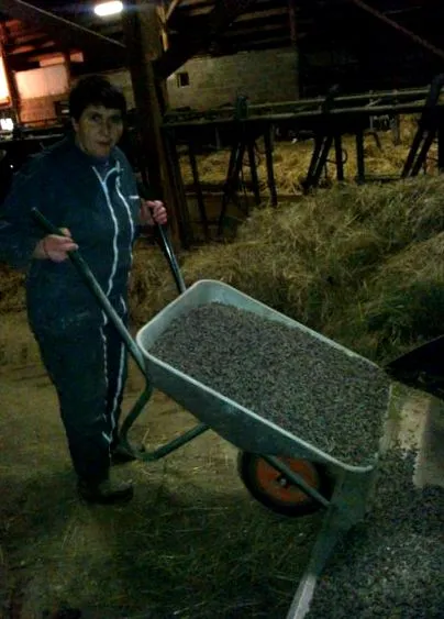 pastă