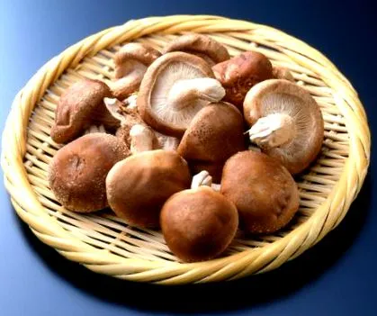 gomba