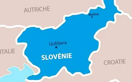 вибори