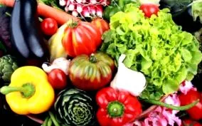 organic bios-ul