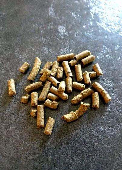bármilyen