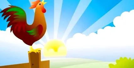 Chicken Coop
