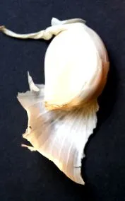 amelyek étel