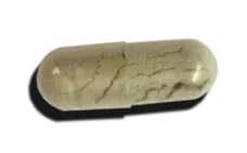 vitamina principalul