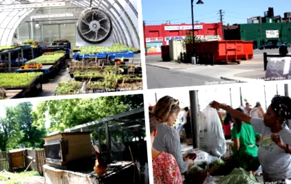 agricultura urbană
