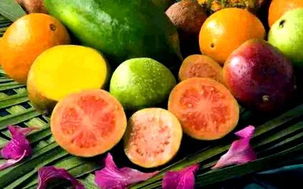 vitamina