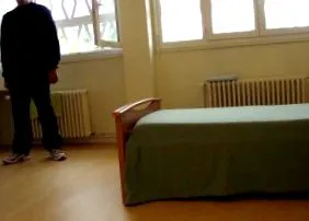 referitoare referitoare