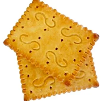 fehérjében