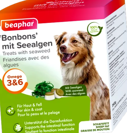 beaphar
