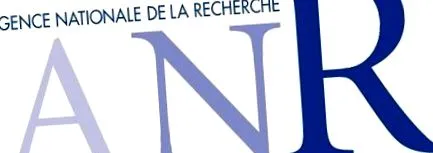 proiecte
