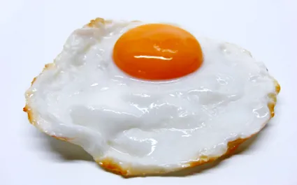 гъби Neofungi