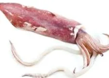 tintahal erényei