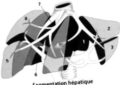 hepato-biliáris