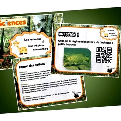qr-diéták