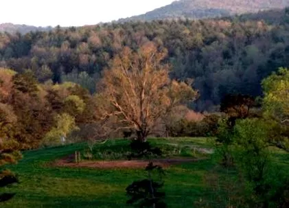 două