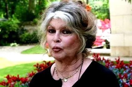 bardot