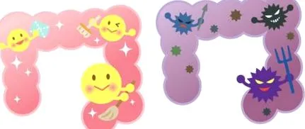 albicans
