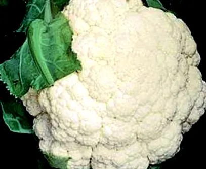 karfiol