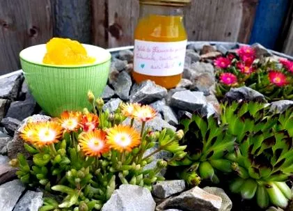 delicios