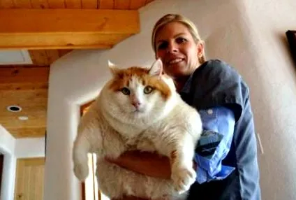 legnagyobb