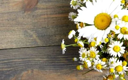 floare
