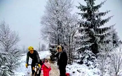 sakál