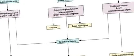 diagnosticul