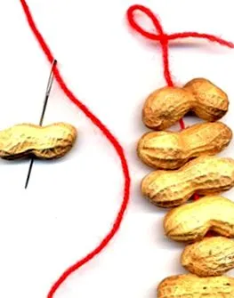 casă casă