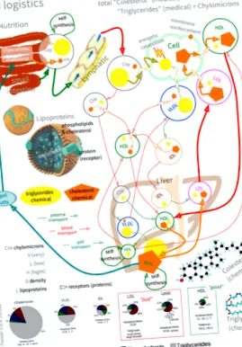 dyslipidemias