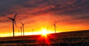 ecologie Timp citire