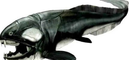 saur