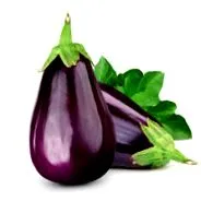 fructe
