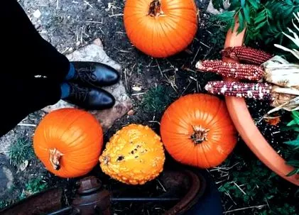 favoriza fructele