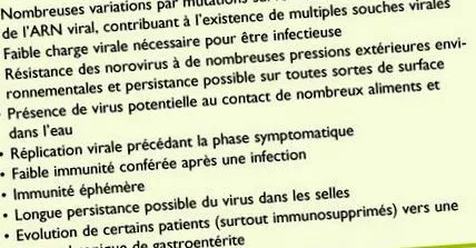 norovirus