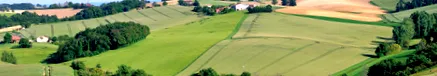agricole