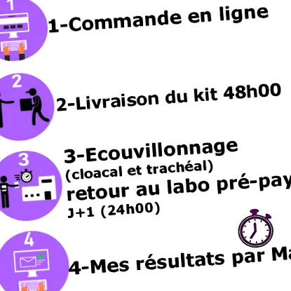 Influenza terhesség